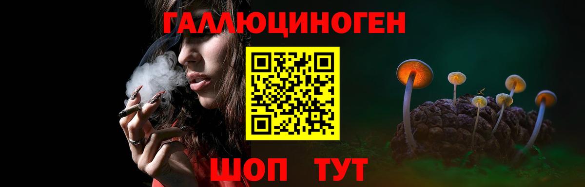 Галлюциногенные грибы GOLDEN TEACHER Зеленодольск
